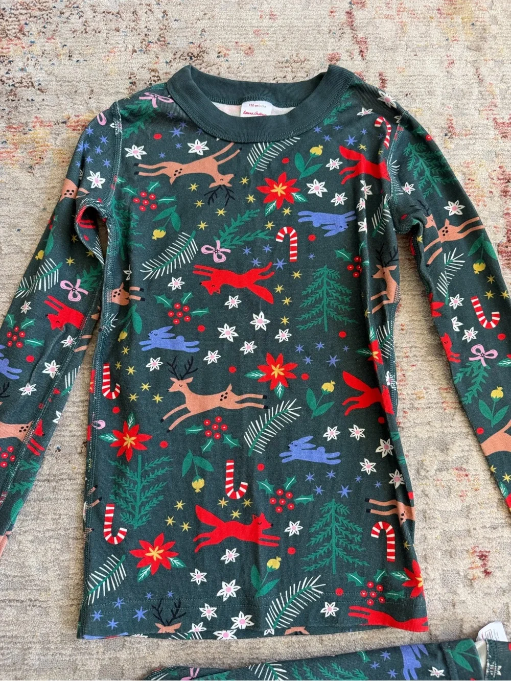 Hanna Andersson Christmas Pajama Set Size 8 Holiday Animals Reindeer